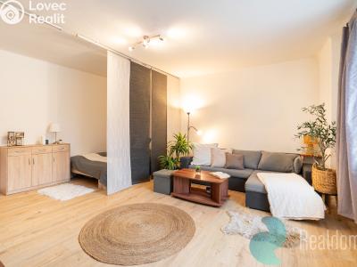 Продаж квартири 1+1 Lišov, třída 5. května č. 1