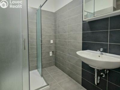 Prodej bytu 1+KK Brno, Bratislavská č. 5