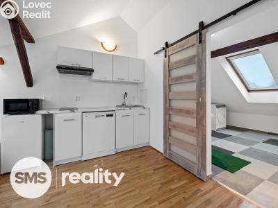 Pronájem bytu 1+KK Brno, Čejkova č. 3