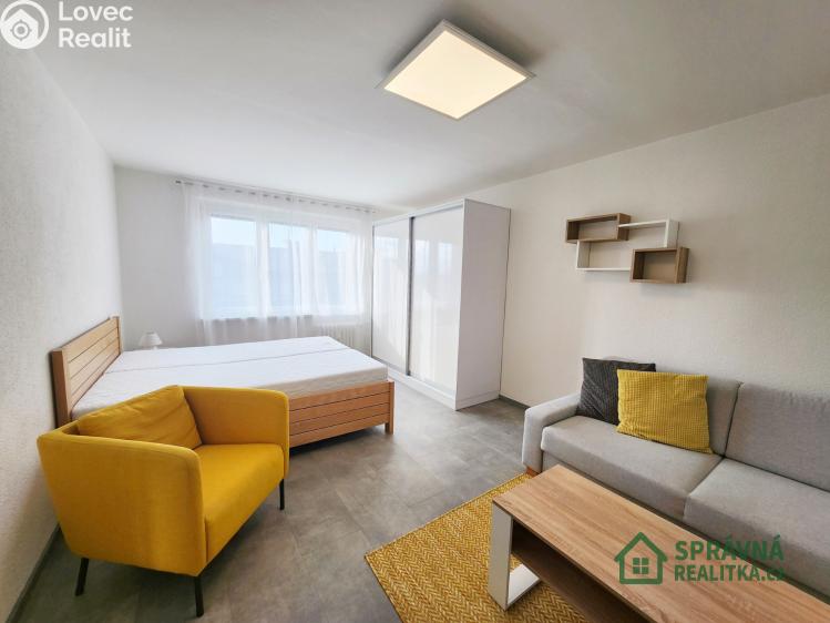 Pronájem bytu 1+1 Plzeň, Nepomucká č. 1