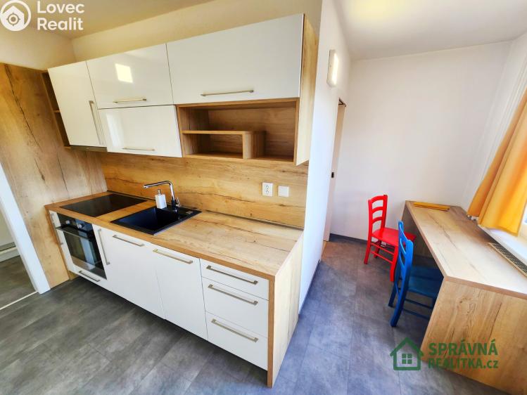 Pronájem bytu 1+1 Plzeň, Nepomucká č. 4