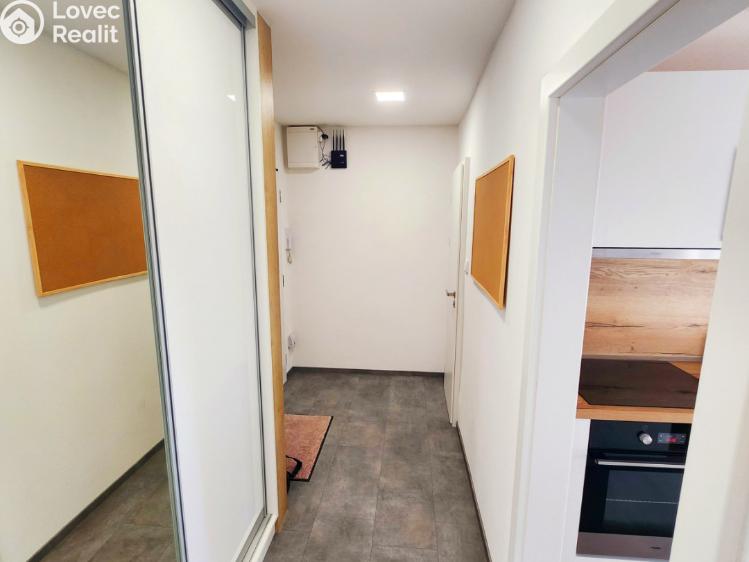 Pronájem bytu 1+1 Plzeň, Nepomucká č. 8