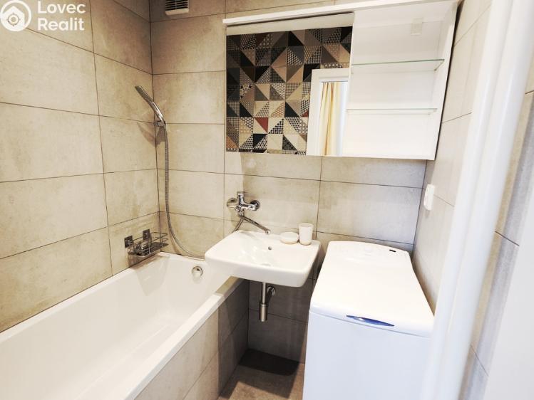 Pronájem bytu 1+1 Plzeň, Nepomucká č. 10