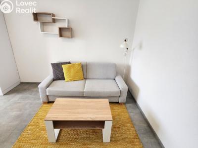 Pronájem bytu 1+1 Plzeň, Nepomucká č. 2