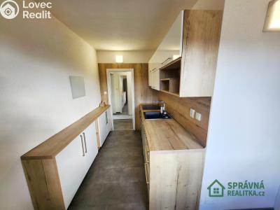 Pronájem bytu 1+1 Plzeň, Nepomucká č. 5