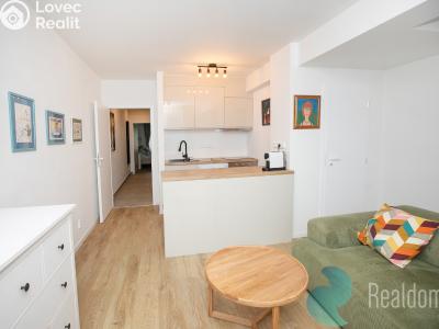 Rent apartment 2+KK Praha, Na moklině č. 6