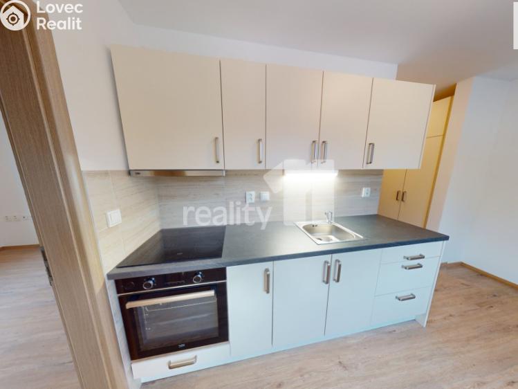 Pronájem bytu 1+1 Světlá nad Sázavou č. 6