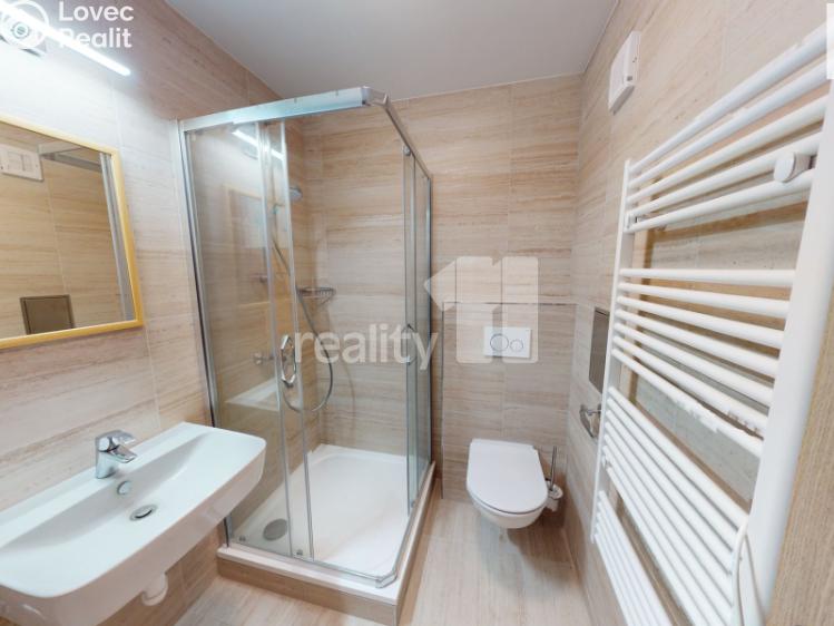 Pronájem bytu 1+1 Světlá nad Sázavou č. 9