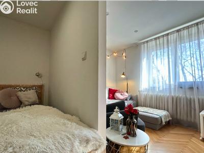 Pronájem bytu 1+1 Kladno, Sevastopolská 2848 č. 2