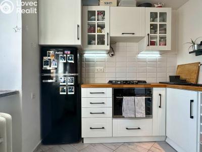 Pronájem bytu 1+1 Kladno, Sevastopolská 2848 č. 3