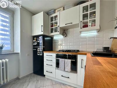 Pronájem bytu 1+1 Kladno, Sevastopolská 2848 č. 4