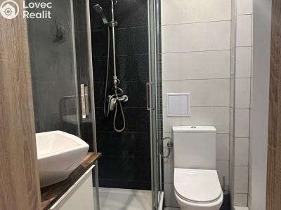 Pronájem bytu 1+1 Kladno, Sevastopolská 2848 č. 5