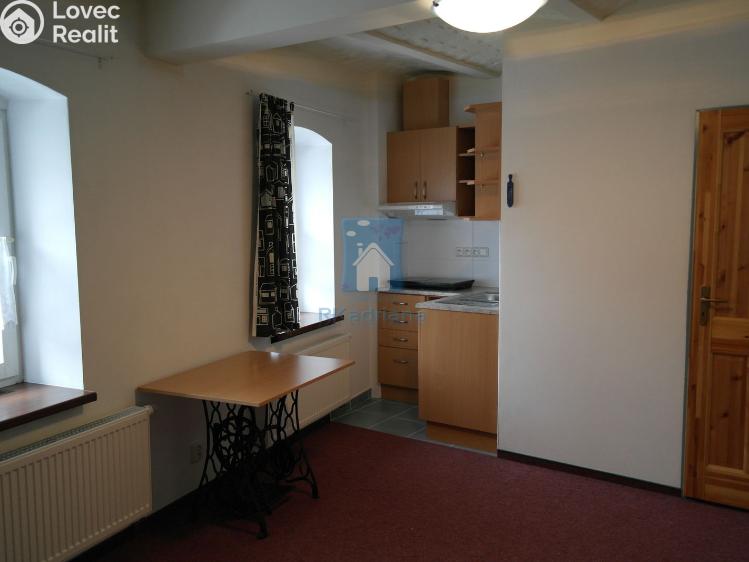 Pronájem bytu 1+KK Plzeň, V Úhlu č. 1