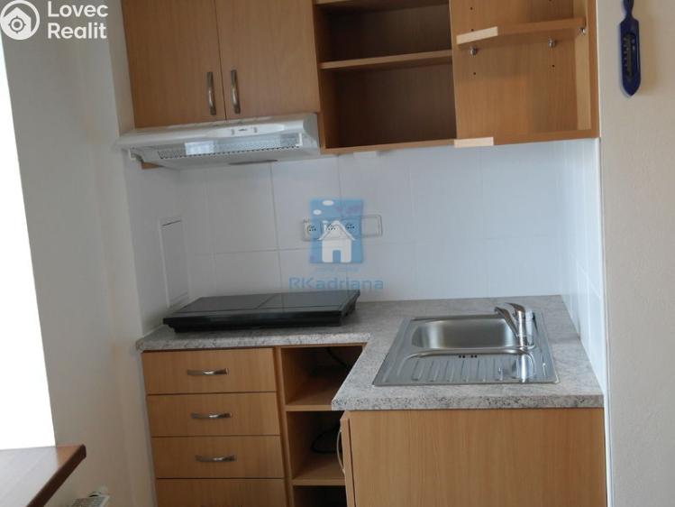 Pronájem bytu 1+KK Plzeň, V Úhlu č. 2