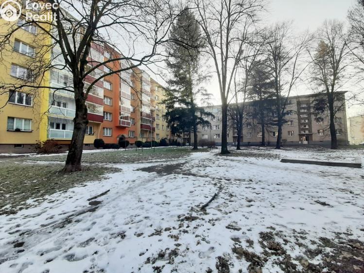 Prodej bytu 1+KK Karviná, Březová č. 1