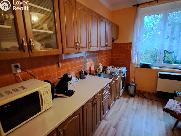 Rent apartment 2+1 Plzeň, Skalní č. 2