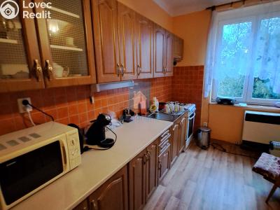 Оренда квартири 2+1 Plzeň, Skalní č. 2