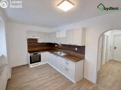 Pronájem bytu 2+1 Stříbro, Západní Předměstí 924 č. 1