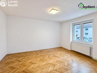 Pronájem bytu 2+1 Stříbro, Západní Předměstí 924 č. 3