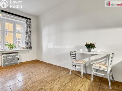 Pronájem bytu 1+KK Ústí nad Labem, Emy Destinové č. 3