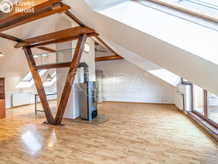 Pronájem bytu 3+KK Kralupy nad Vltavou, Přemyslova 642/39 č. 13