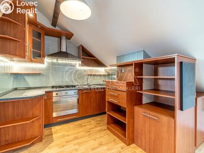 Pronájem bytu 3+KK Kralupy nad Vltavou, Přemyslova č. 4