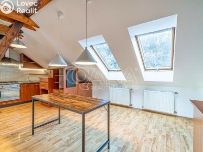 Pronájem bytu 3+KK Kralupy nad Vltavou, Přemyslova č. 5