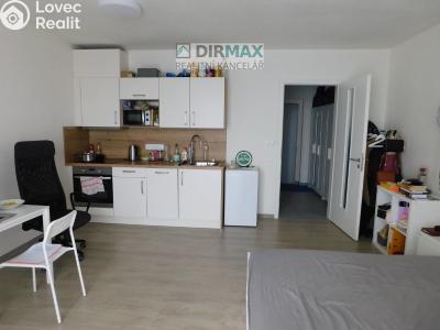 Pronájem bytu 1+KK Plzeň, Studentská č. 2