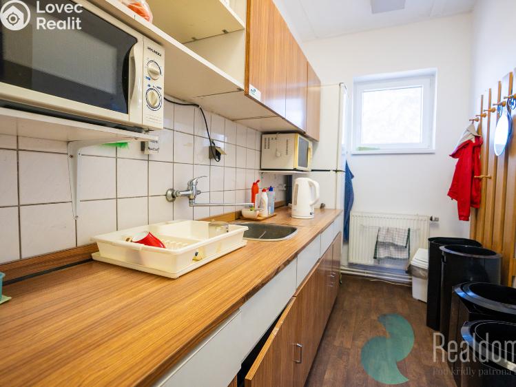 Sale production hall Milovice č. 5