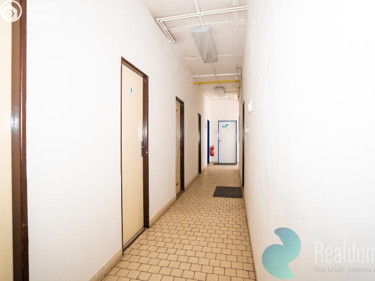 Sale production hall Milovice č. 6