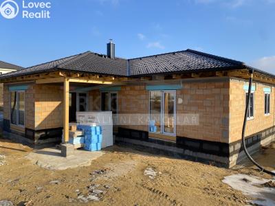 Sale family house Litvínovice, Průběžná 483 č. 2