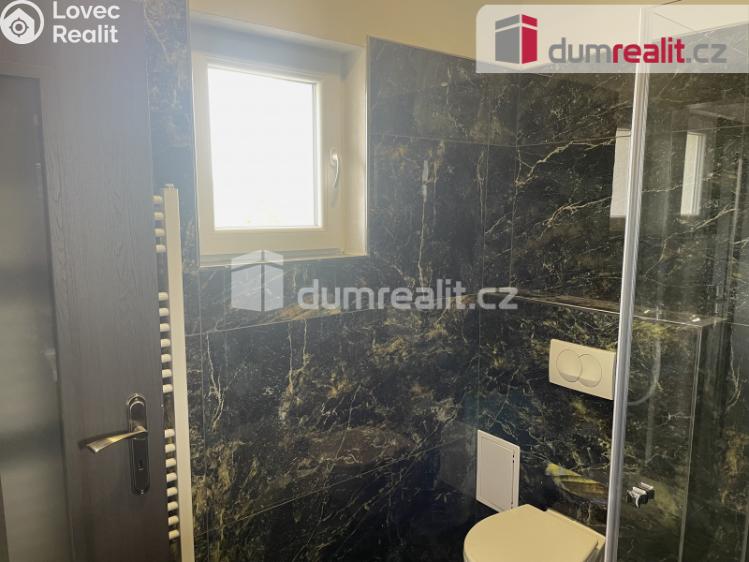 Pronájem bytu 1+KK Hradešín č. 19