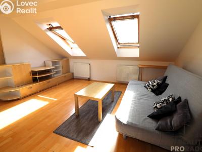 Аренда квартиры 3+KK Brno, Elišky Krásnohorské č. 1