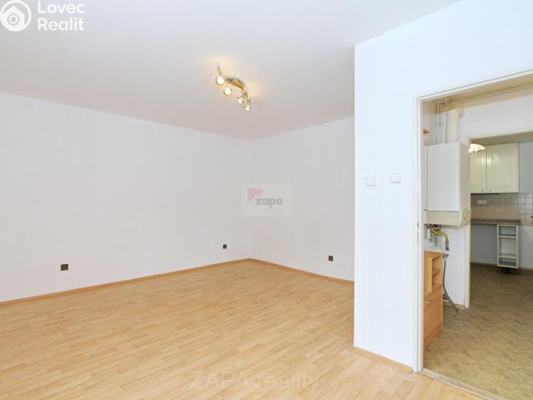 Pronájem bytu 1+1 Praha, Na Třebešíně 1016/23 č. 2