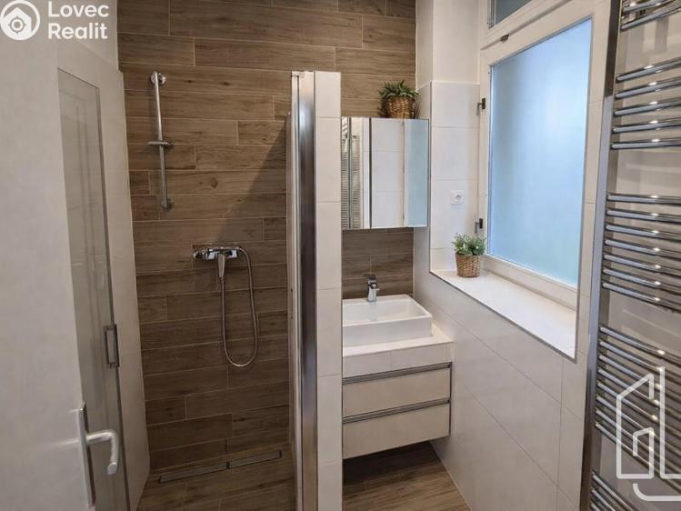 Pronájem bytu 1+1 Brno, Palackého třída č. 3