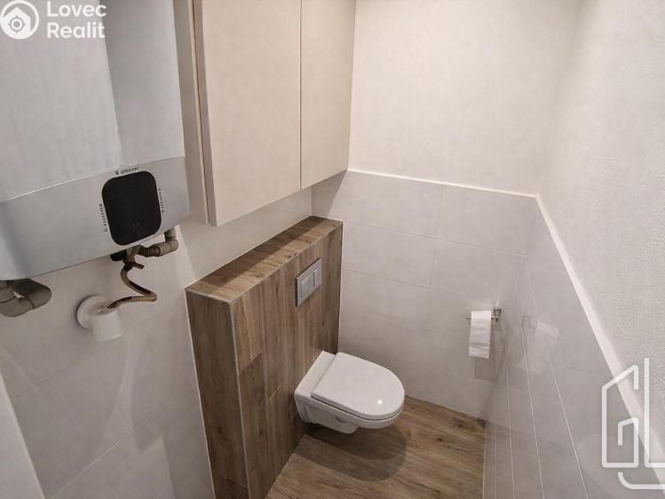 Pronájem bytu 1+1 Brno, Palackého třída č. 4