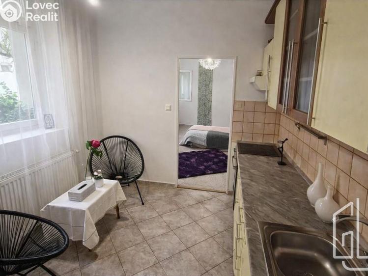 Pronájem bytu 1+1 Brno, Palackého třída č. 6