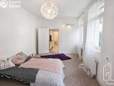 Pronájem bytu 1+1 Brno, Palackého třída č. 1