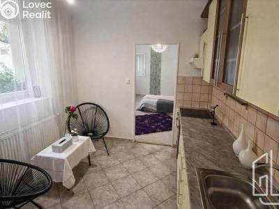 Pronájem bytu 1+1 Brno, Palackého třída č. 6