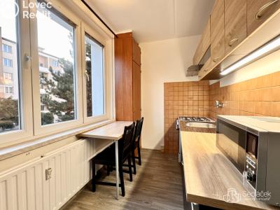 Оренда квартири 2+1 Sokolov, Jelínkova č. 1