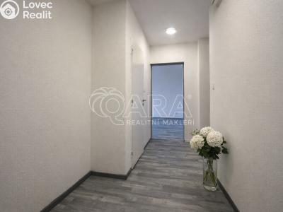 Оренда квартири 2+1 Ostrava, Karpatská č. 6