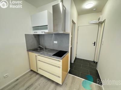 Pronájem bytu 1+KK Kaplice, Omlenická č. 1