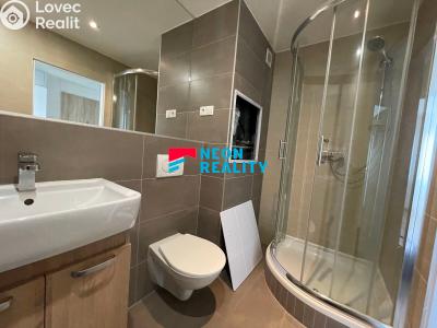 Pronájem bytu 2+1 Ostrava, Vršovců č. 3