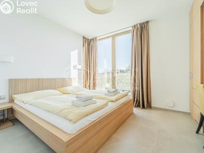 Продажа квартиры 2+KK Mladé Buky č. 6