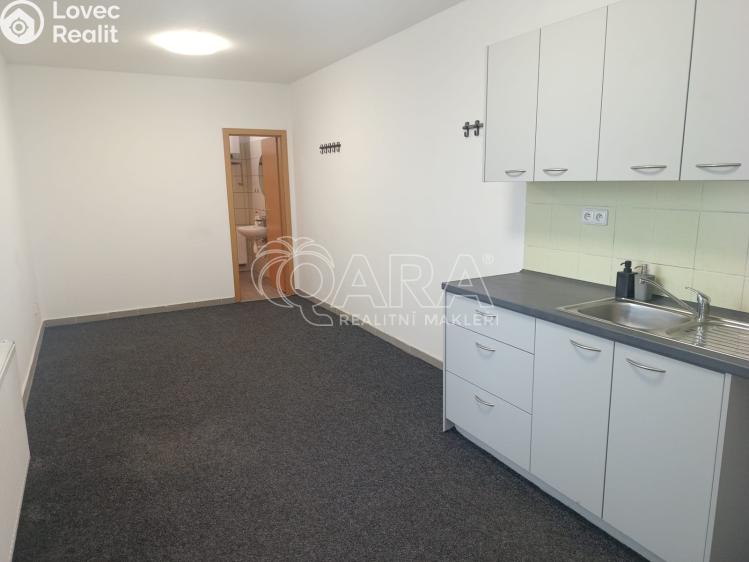 Rent office space Bystřice, Syllabova 57 č. 15