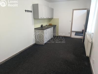 Rent office space Bystřice, Syllabova 57 č. 4
