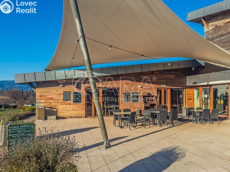 Prodej chaty Mladé Buky č. 27