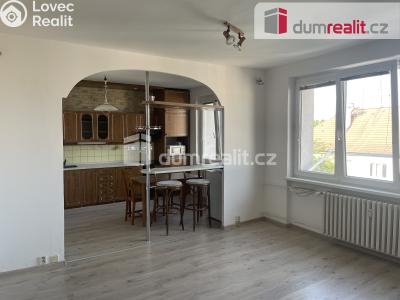 Pronájem bytu 1+KK Vítkov, Opavská č. 1