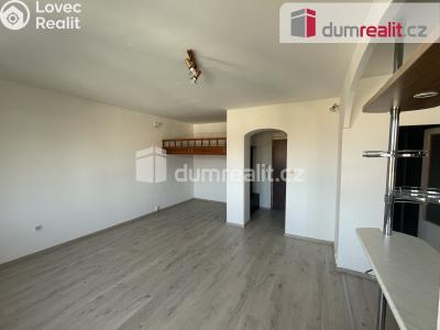 Pronájem bytu 1+KK Vítkov, Opavská č. 2