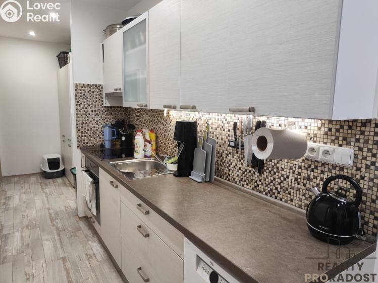 Pronájem bytu 2+1 Chomutov, Dřínovská č. 1